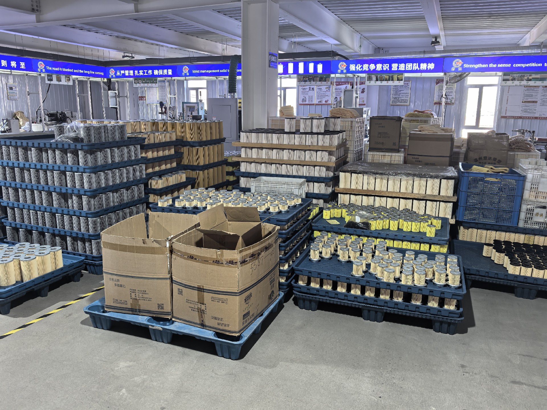 lady with a determined gaze